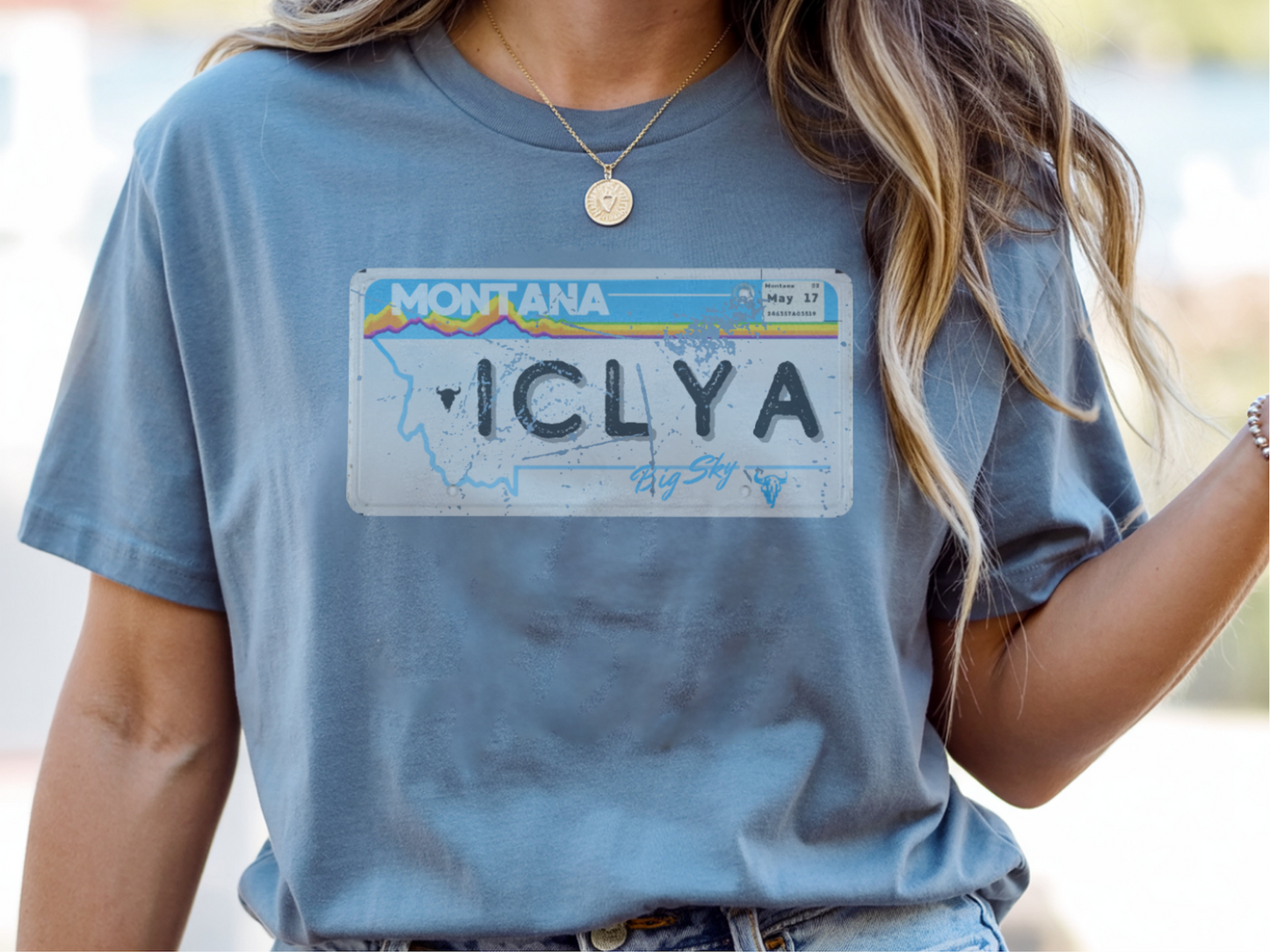 Vintage State License Plate Tee